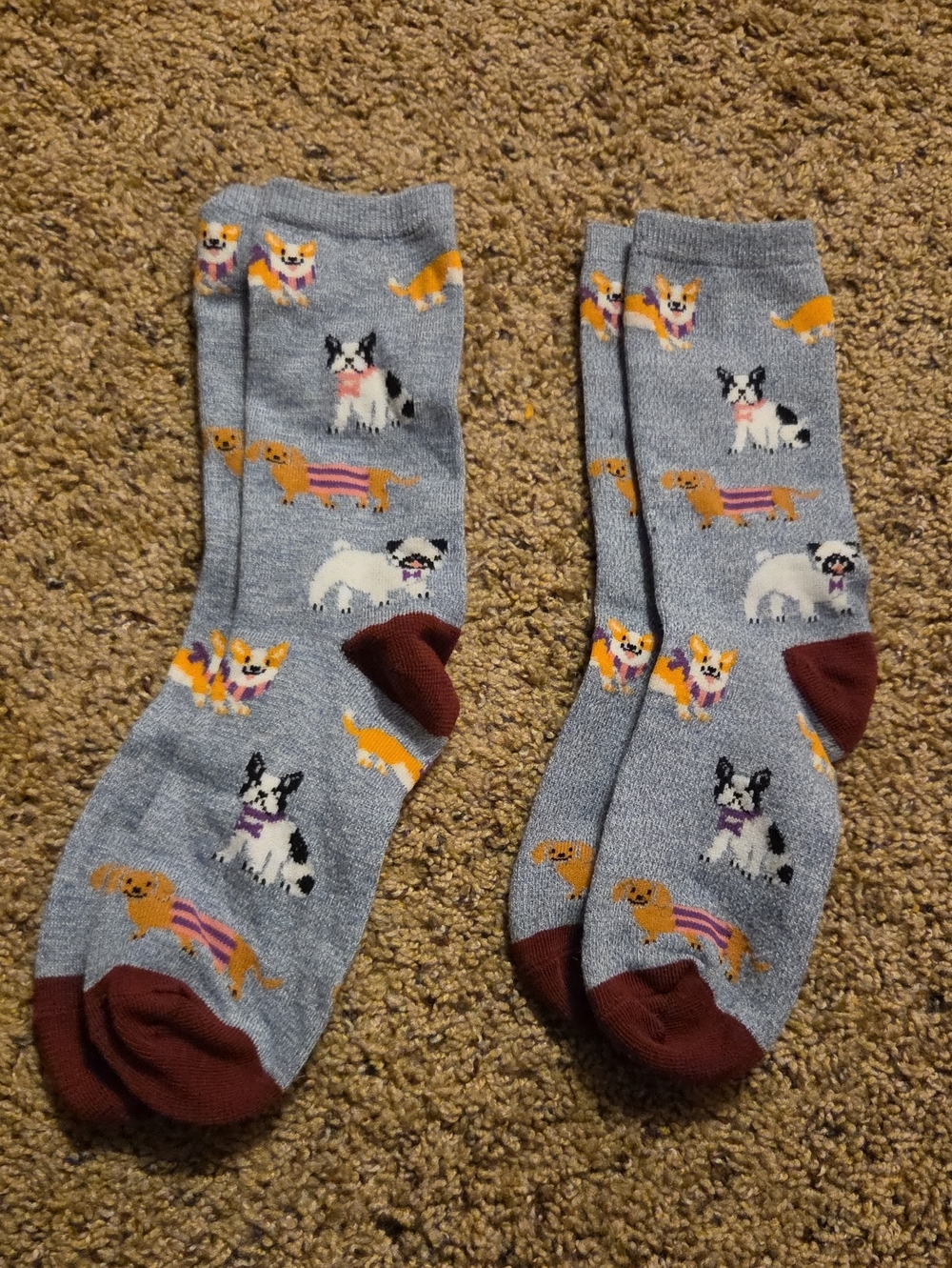 Gray & Maroon Dog Pattern Crew Socks - 2 Pairs